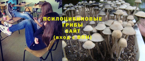 Альфа ПВП Верхний Тагил