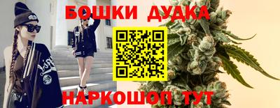 сатива Заволжье