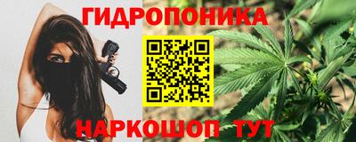 сатива Заволжье