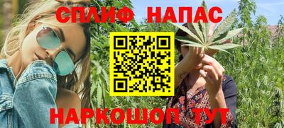 сатива Заволжье