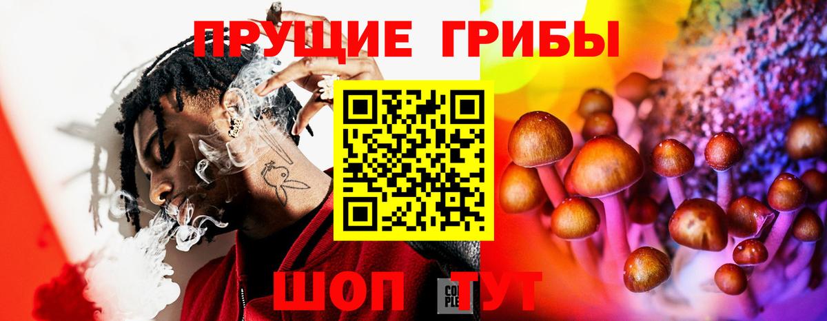 Псилоцибиновые грибы GOLDEN TEACHER  Псилоцибиновые грибы Psilocybine cubensis  Вход с VPN  Фрязино 