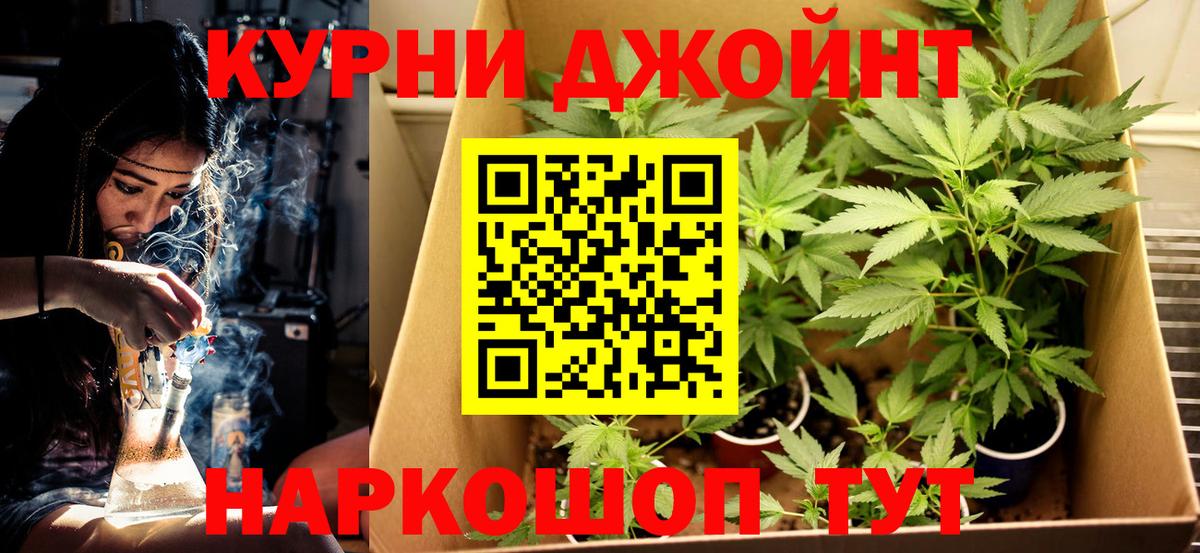 Фрязино  Марихуана White Widow  Вход с VPN  Канабис Ganja  Канабис THC 21% 